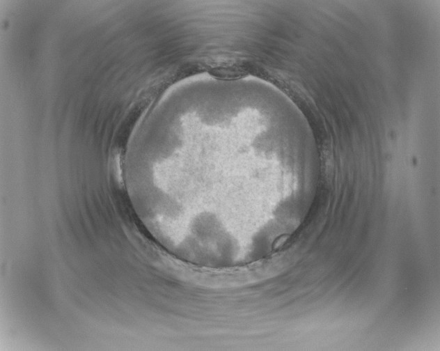 X0000070360042200607072114