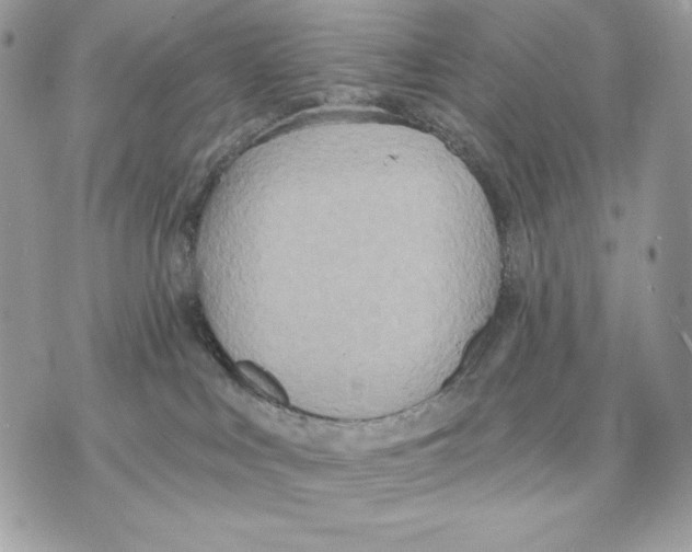 X0000070360043200607072114