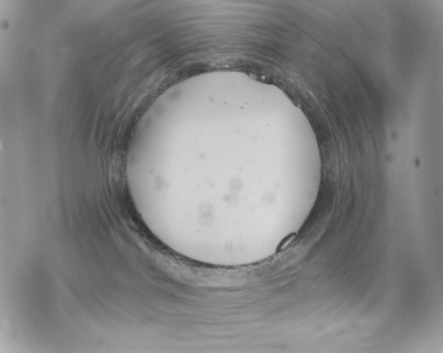 X0000070360044200607072114