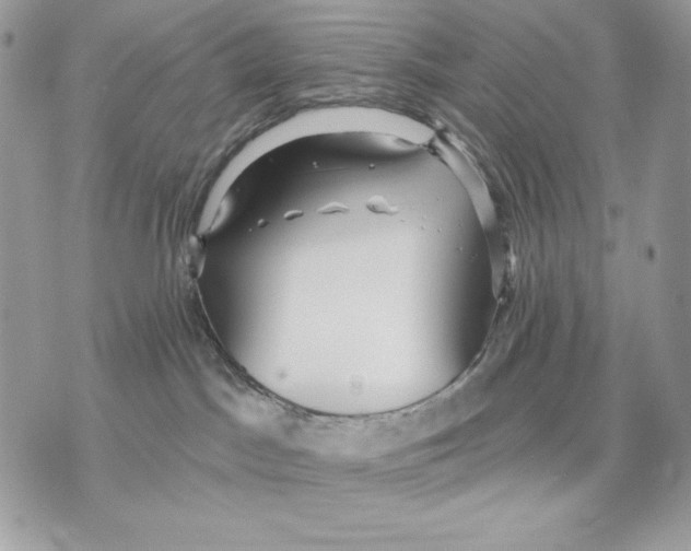 X0000070360045200607072114