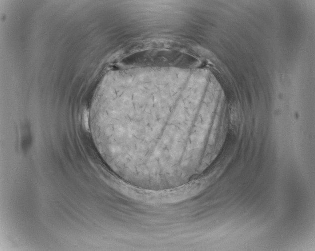 X0000070360046200607072114