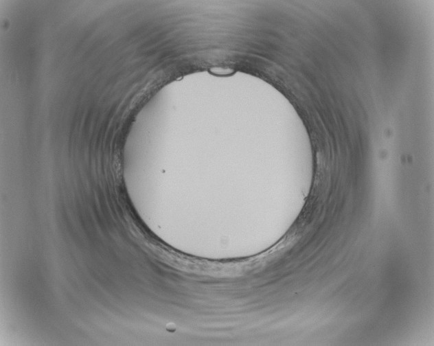 X0000070360048200607072114