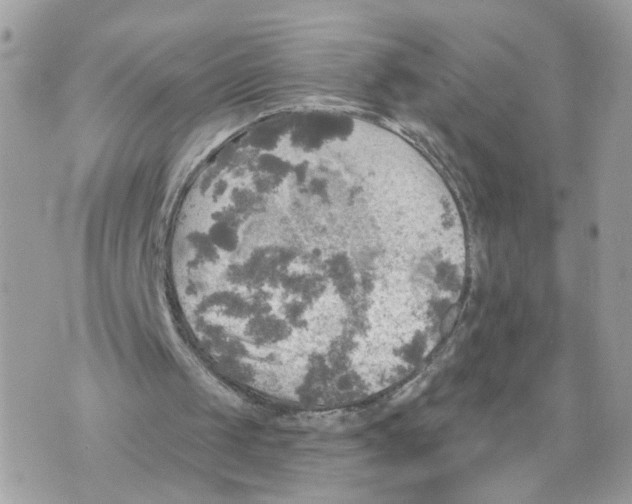 X0000070360049200607072113