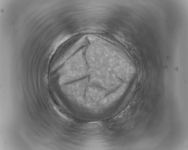 X0000070360050200607072113