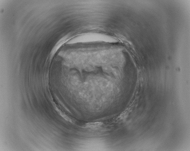 X0000070360051200607072113