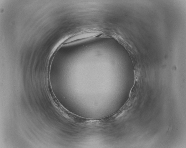 X0000070360052200607072113