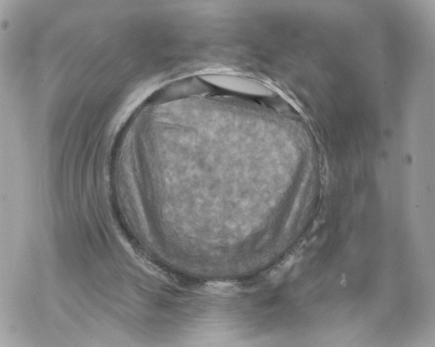 X0000070360055200607072113