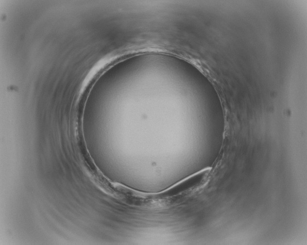 X0000070360056200607072113