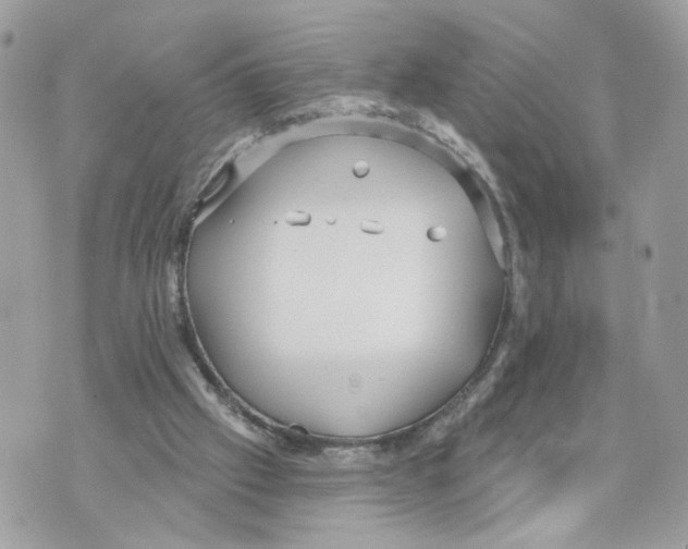 X0000070360057200607072113