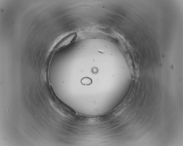 X0000070360060200607072113