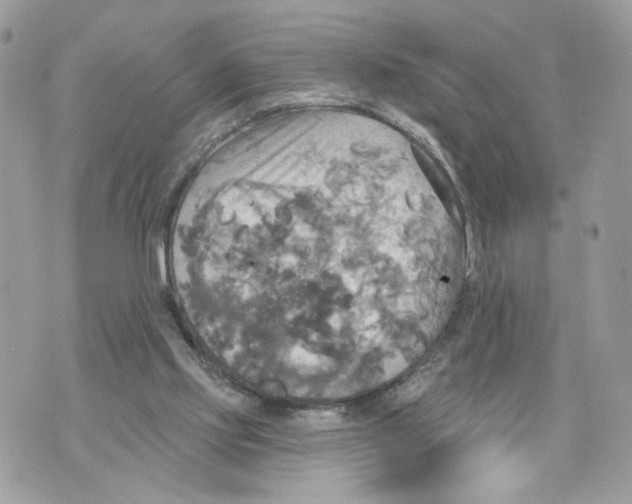 X0000070360061200607072113