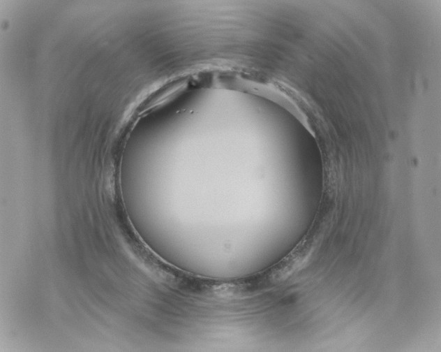 X0000070360064200607072113