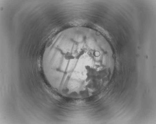 X0000070360065200607072113