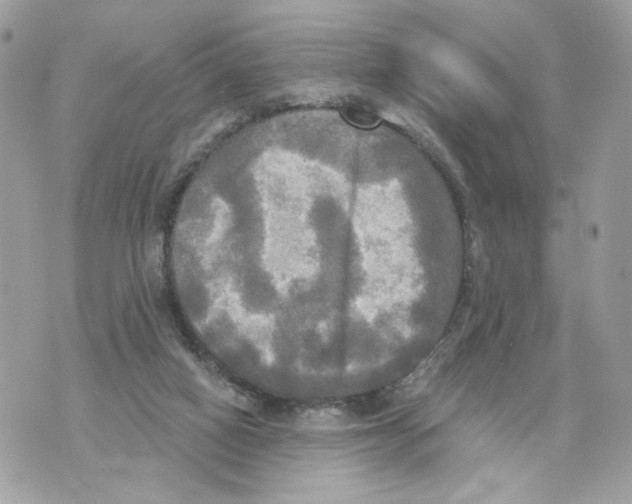 X0000070360066200607072114