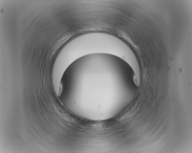 X0000070360068200607072114