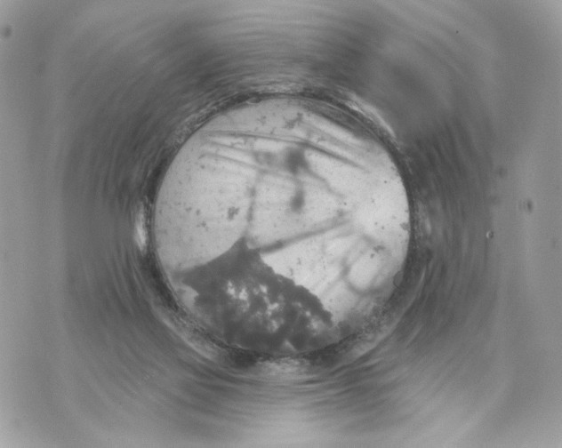 X0000070360069200607072114