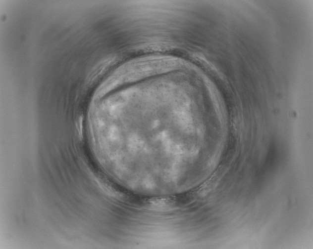 X0000070360070200607072114