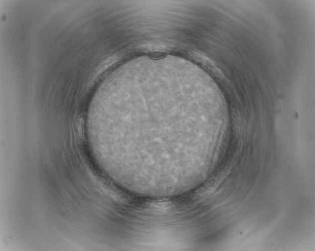 X0000070360071200607072114