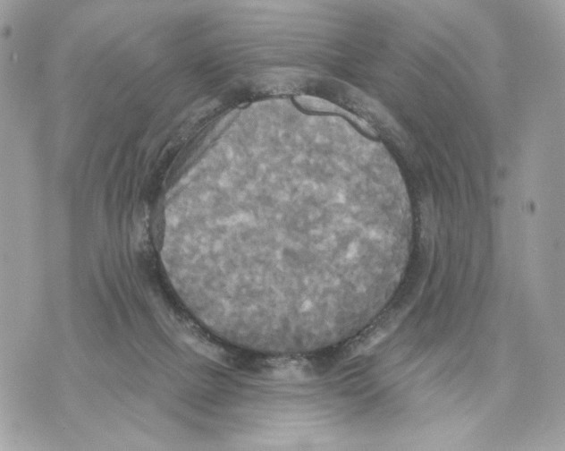 X0000070360073200607072114