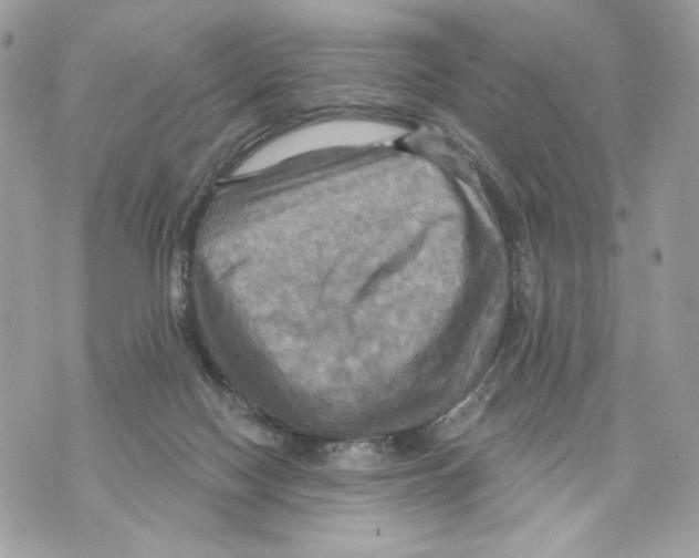 X0000070360074200607072114