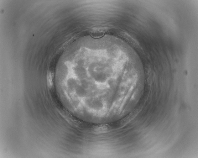 X0000070360075200607072114