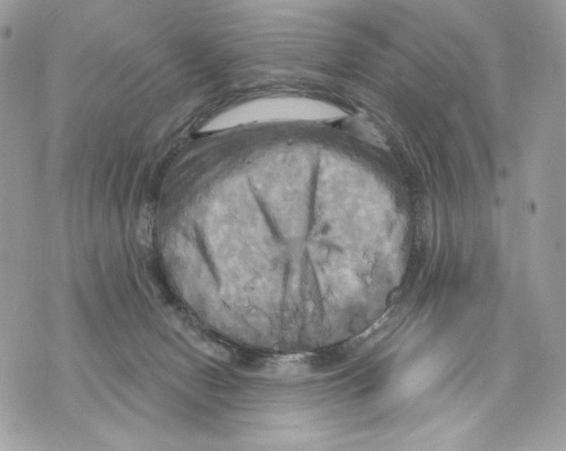 X0000070360078200607072114