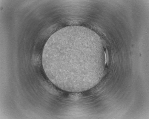 X0000070360079200607072114