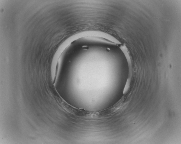 X0000070360080200607072114