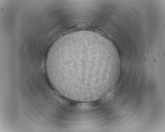 X0000070360082200607072114