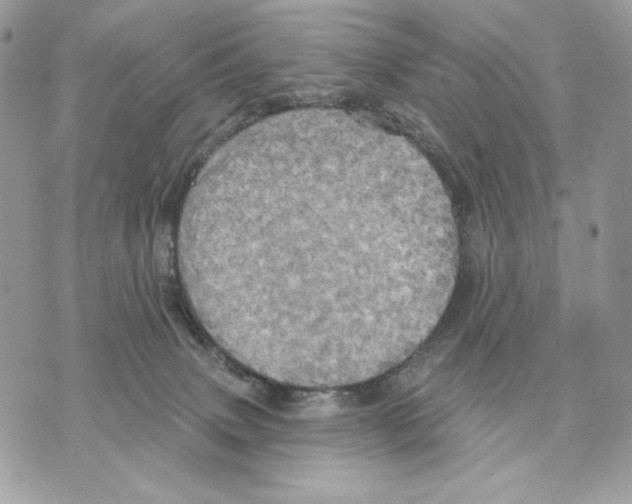 X0000070360083200607072114