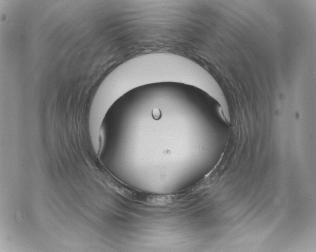 X0000070360084200607072114