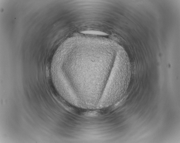 X0000070360086200607072114