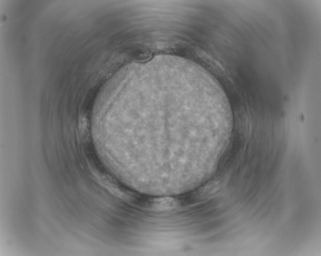 X0000070360087200607072114