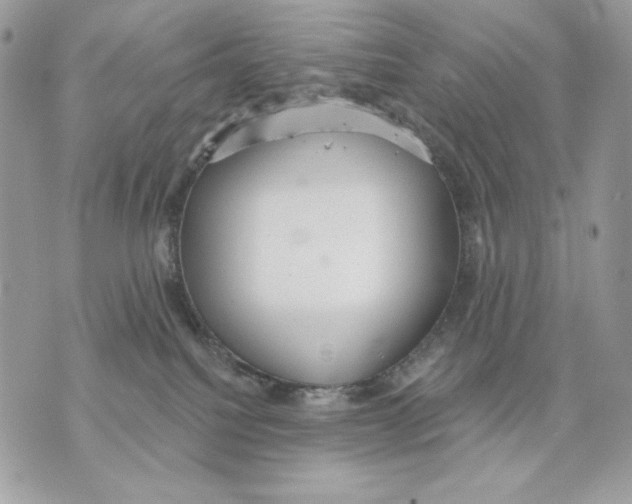 X0000070360088200607072114