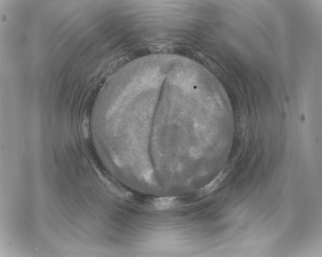 X0000070360090200607072114