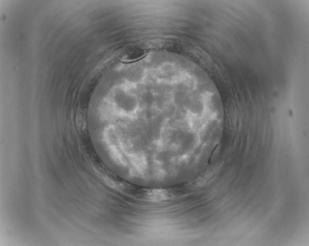 X0000070360091200607072114