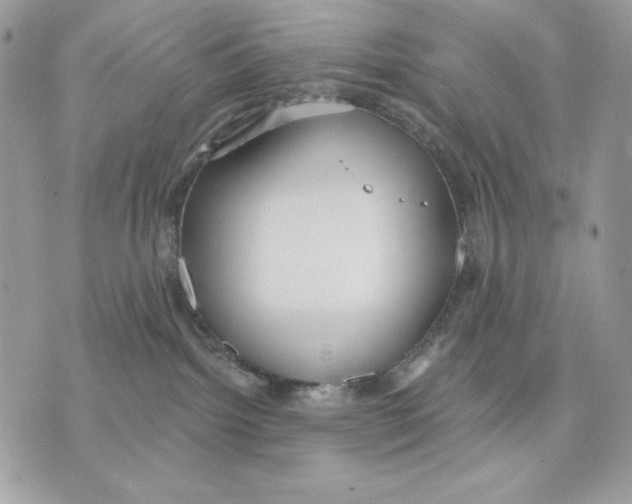 X0000070360092200607072114