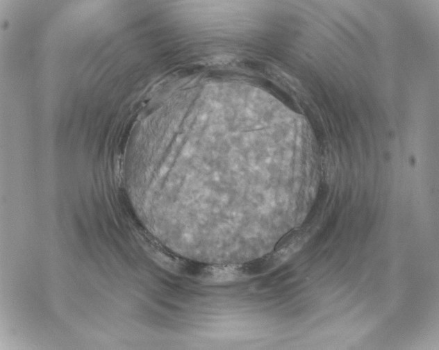 X0000070360093200607072114