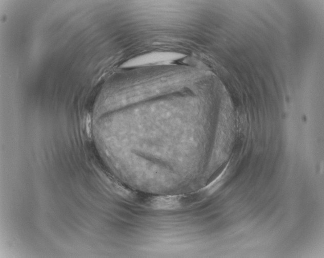 X0000070360094200607072114