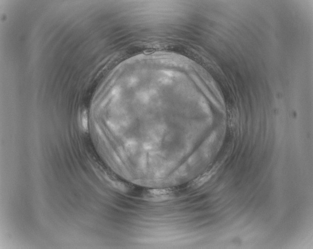 X0000070360095200607072114