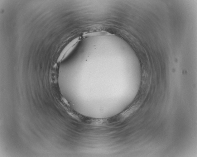 X0000070360096200607072114