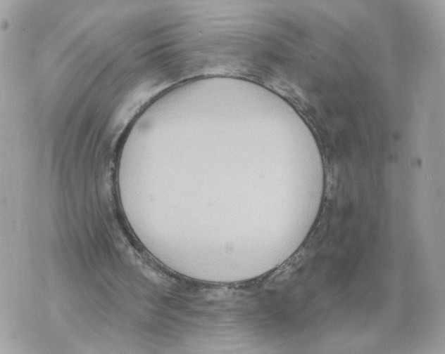 X0000070360098200607072113