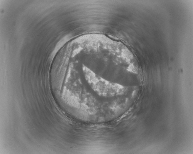 X0000070360099200607072113