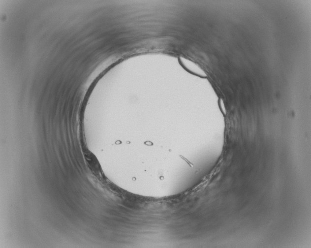 X0000070360100200607072113