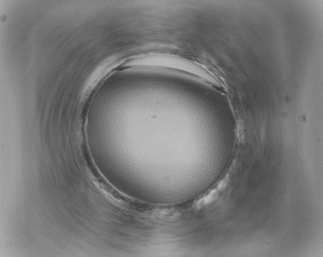 X0000070360101200607072113