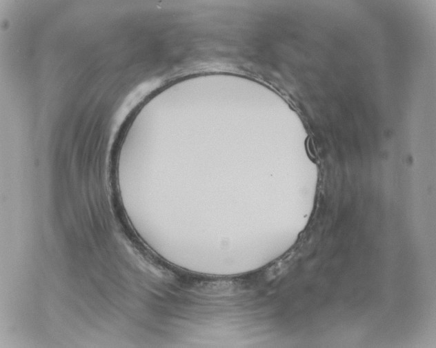 X0000070360104200607072113