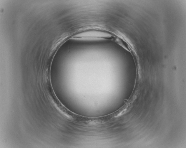 X0000070360105200607072113