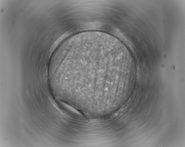 X0000070360107200607072113