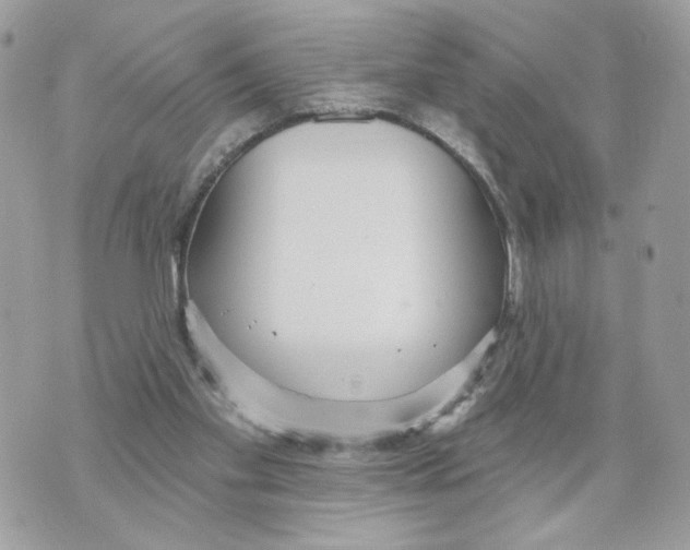 X0000070360109200607072113