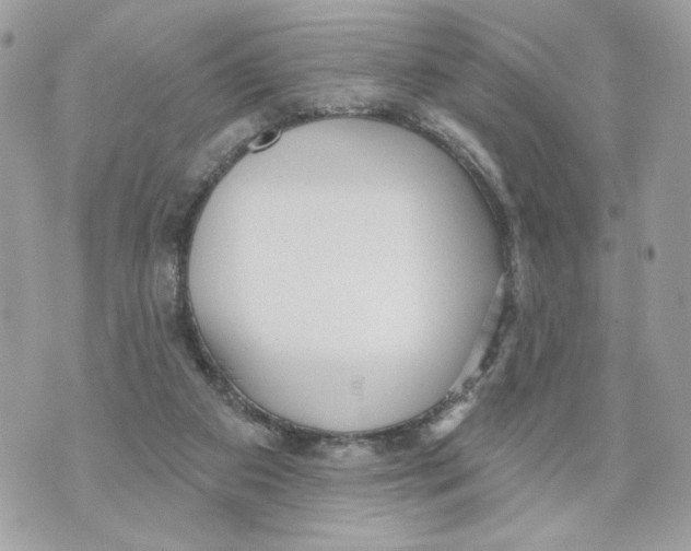 X0000070360113200607072113